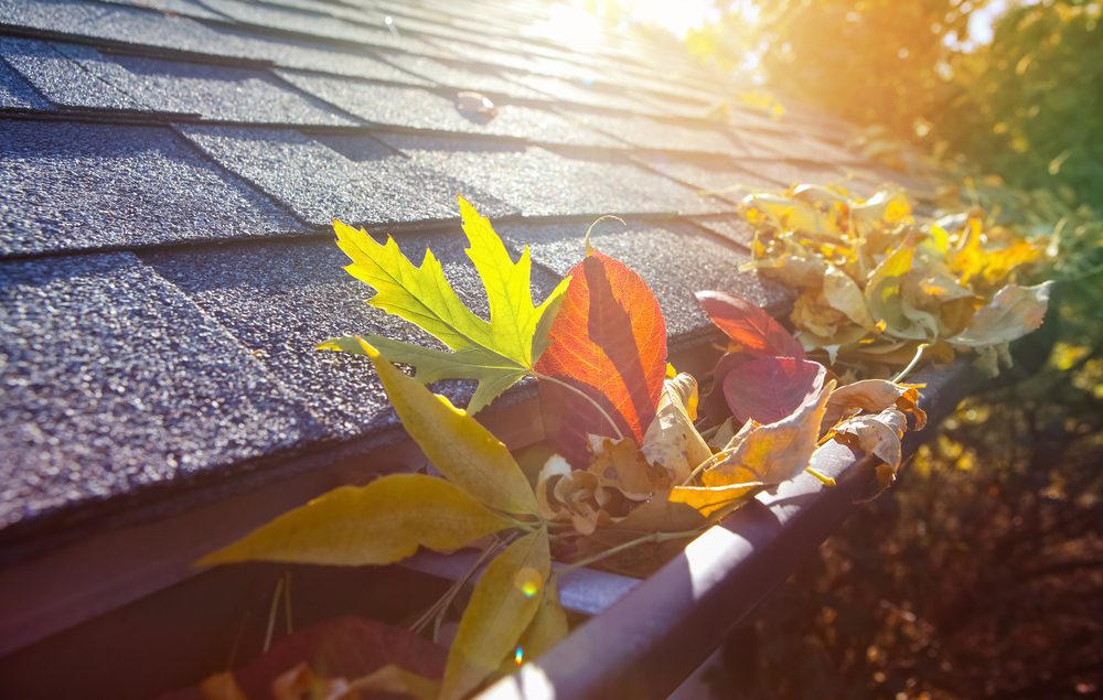 Top 3 Fall Projects for Roof Maintenance